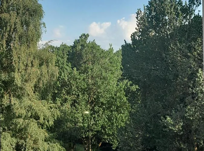 Im Herzen Von 公寓 韦默尔斯基兴